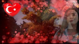 МОЯ ЛЕВАЯ СТОРОНА 2 СЕРИЯ РУССКАЯ ОЗВУЧКА