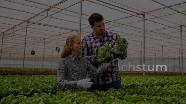 Wachstum ⭐⭐⭐⭐⭐ Wörterbuch | Deutsch lernen смотреть онлайн