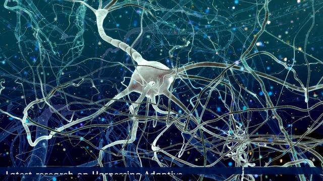 SpinetiX ARYA: Education Ready-made Template for Schools and Universities смотреть онлайн