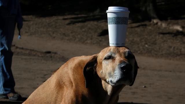 Новый русский клип для души онлайн смотреть онлайн