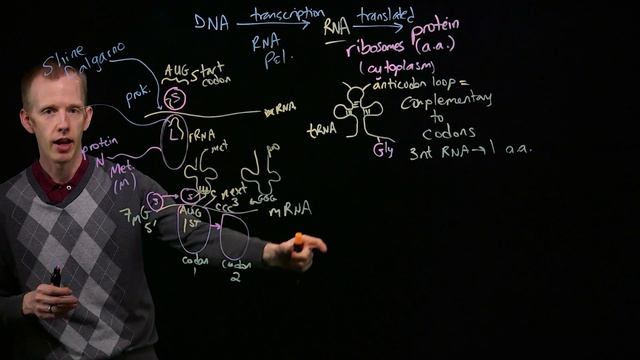 Translation смотреть онлайн