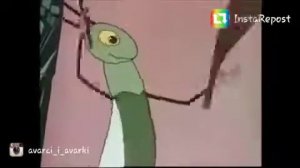 Аварская дюмовочка