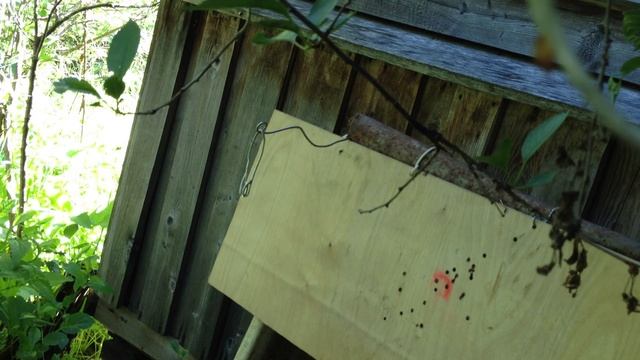 Crosman Quest 1000 и опт. прицел Leapers 4-16