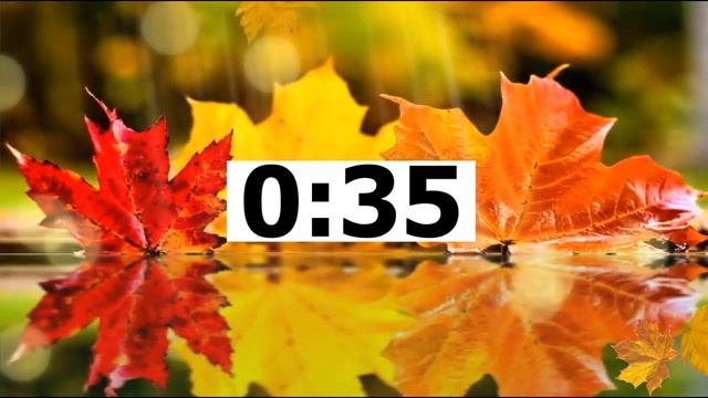 Английский ЕГЭ Говорение Task 3 RUSSIAN SCHOOLS