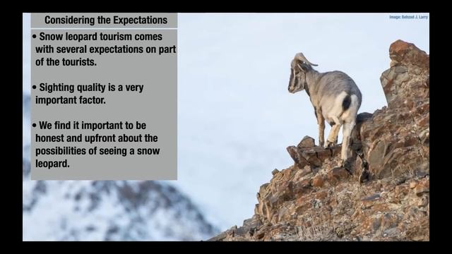 Module 10 - Session 2.1: The snow leopard image смотреть онлайн