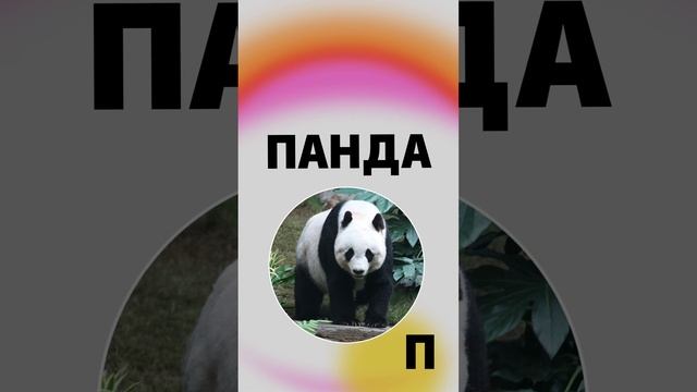 Тест по чтению на русском языке! Карточки Тимирязева. Азбука. Букварь. Алфавит.