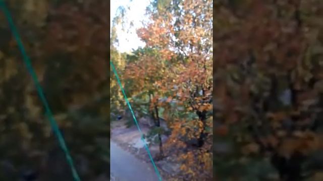 Стрельба возле дома часть 1 HD