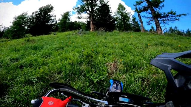 Лето. Горы. Алтай. Подъем Шинок - Орешня. смотреть онлайн