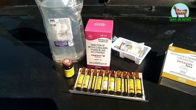 goat paralysis treatment बकरी को लकवा मारने की दवा इलाज bakri ko laqwa ka ilaj बकरी का इलाज смотреть онлайн