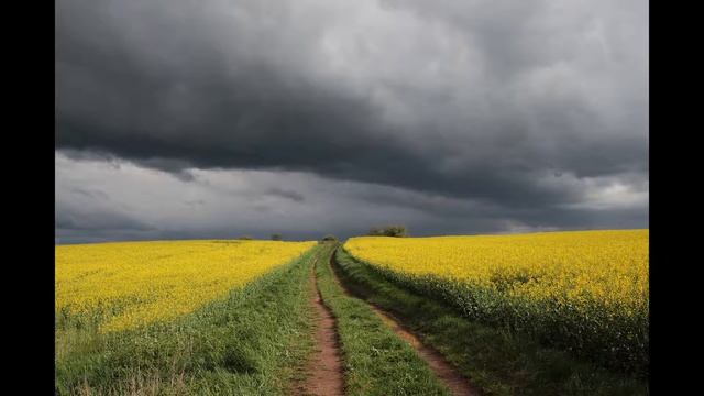 Звук движения по сырой земле, АСМР, ASMR смотреть онлайн