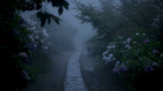 David Dunn - Poison (slowed + reverb) смотреть онлайн