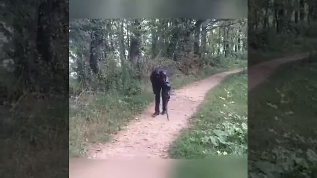 КАК ПОДРОСТКИ ОТНОСЯТСЯ К ПОЖИЛЫМ ЛЮДЯМ! СМОТРЕТЬ ВСЕМ!!! смотреть онлайн