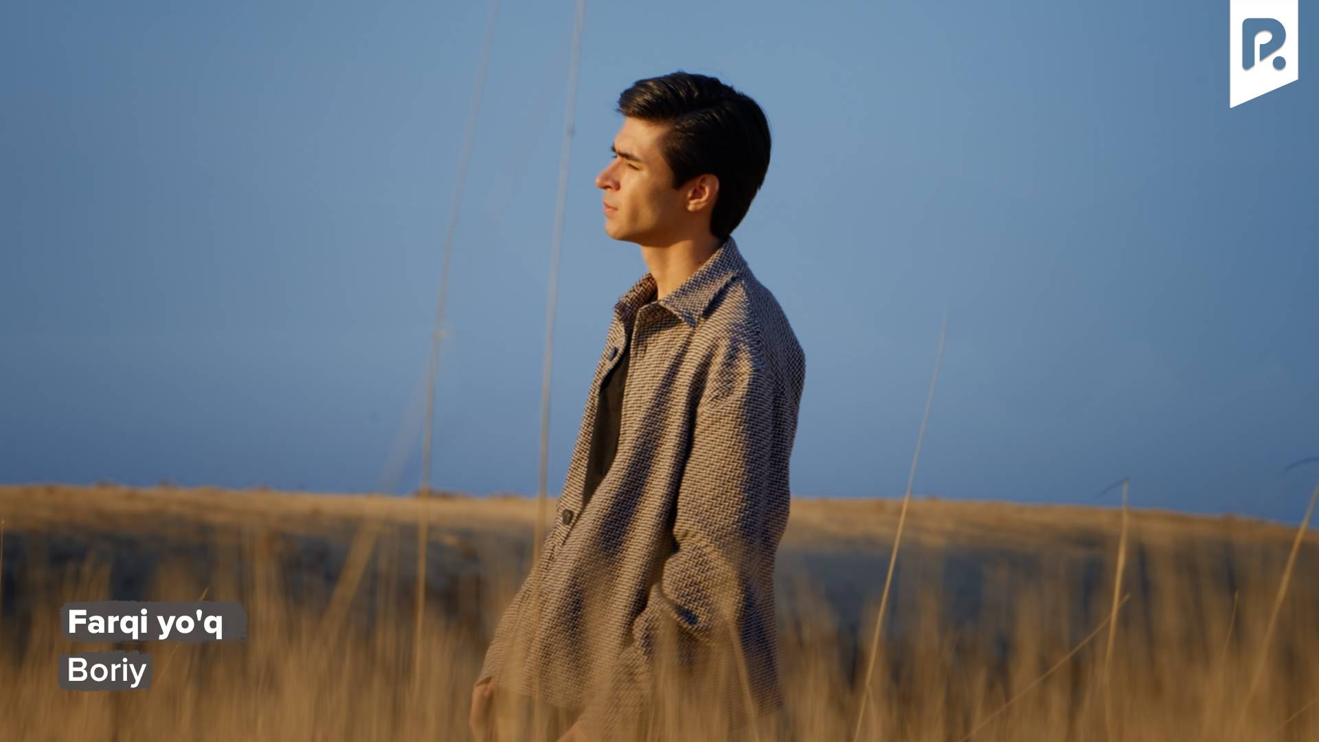 Boriy - Farqi yo'q | Борий - Фарки йук смотреть онлайн