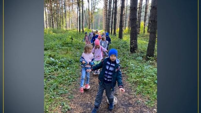 Полоса препятствий в лесу смотреть онлайн