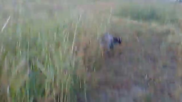 Обучение курца