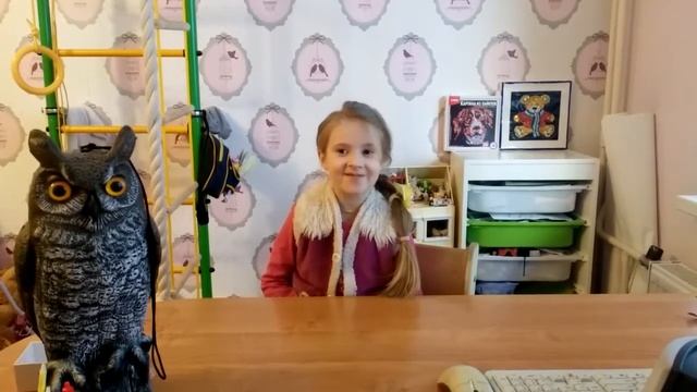 Зимние виды спорта смотреть онлайн