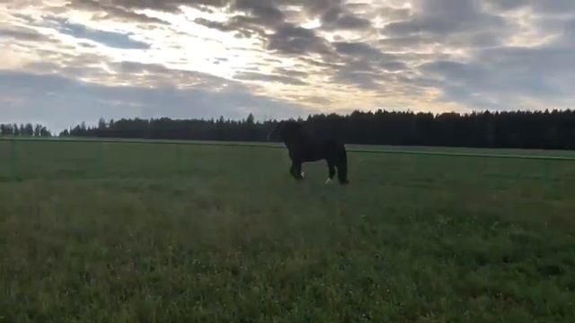 2 мая 2022 г.(3) смотреть онлайн