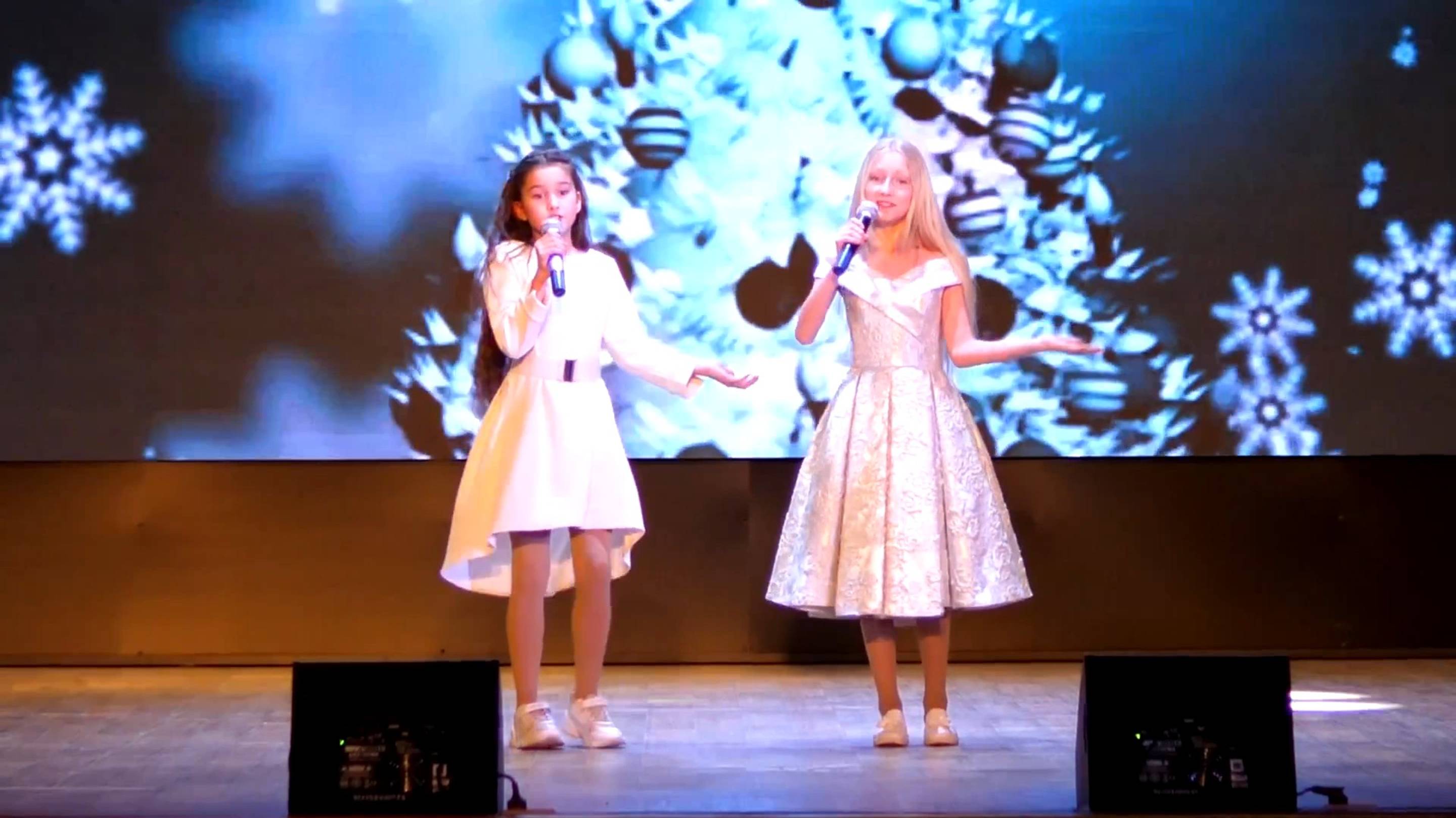 Диана Шустова и Наталья Дебич-новогодние игрушки