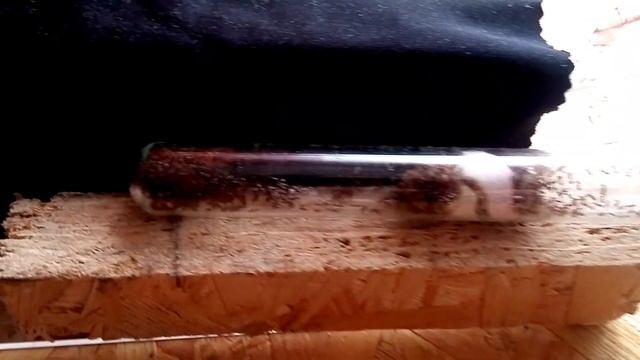 Pheidole pallidula connected nests смотреть онлайн