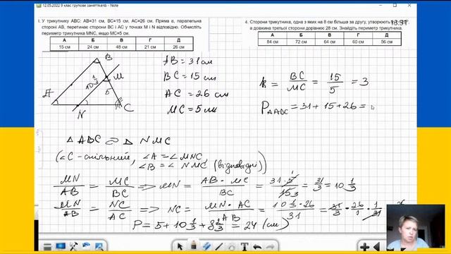 Трикутники.  Геометрія,  9 клас