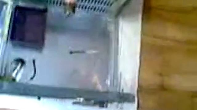 Hrátky s magnetrony смотреть онлайн