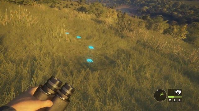 theHunter: Call of the Wild™ - подстрелил бородавочника смотреть онлайн