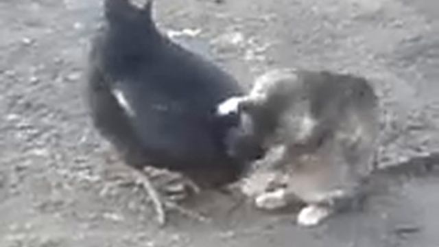 Любовъ без слов! смотреть онлайн