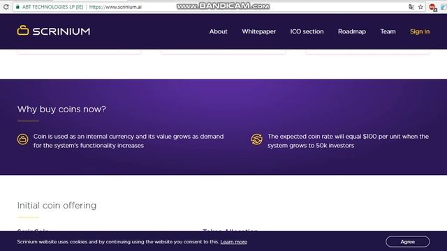 ICO Scrinium / Обзор проекта на русском языке смотреть онлайн