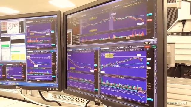 Девушка трейдер на фондовой бирже смотреть онлайн