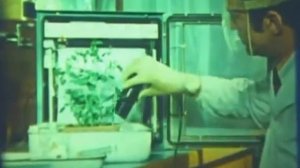 НаучФильм. Серия Химия. Фосфор