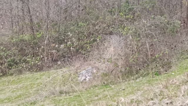 Парнаут. Играем в прятки смотреть онлайн