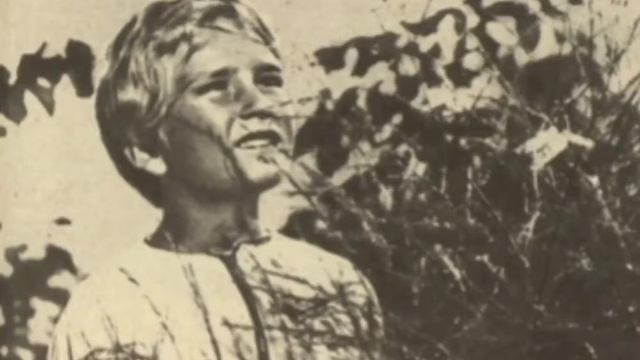 Диктант 11 клас смотреть онлайн