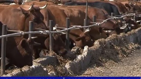 КАРТИНА НЕДЕЛИ 22.04.2018