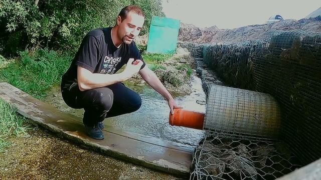 В чем сила живой воды?