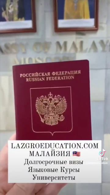 Виза в Малайзию #куалалумпур #малайзия смотреть онлайн