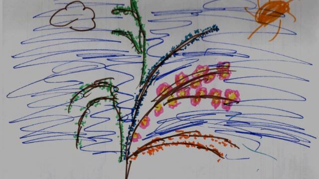 2017 год экологии смотреть онлайн