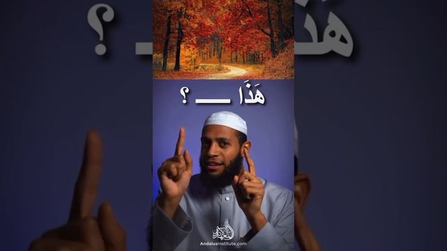 Back with… Another One! Ep.6 📚 Subscribe For Daily Arabic Tips, Clips & Quizzes‼️ #theandalusiway смотреть онлайн