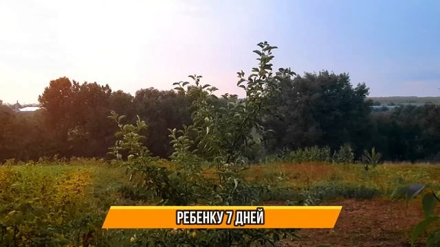 Контейнер 2 сезон 1-8 серия (2022) // Премьера Старт смотреть онлайн