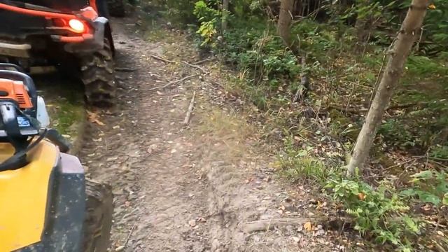 Покатушки на квадриках в 🌳 август. Собираем орехи. Очень много усыпано орехами. смотреть онлайн