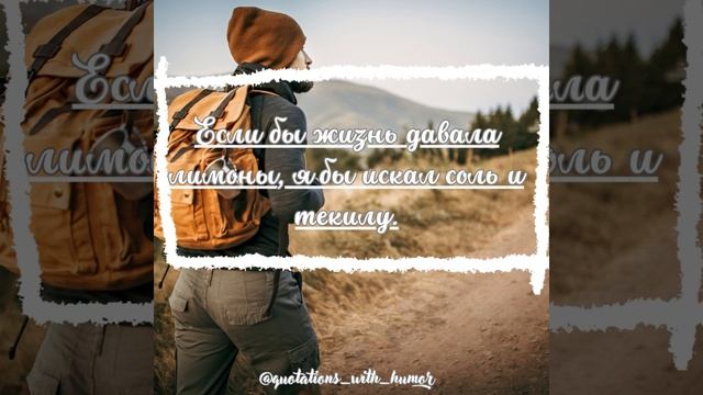 Цитаты с юмором смотреть онлайн