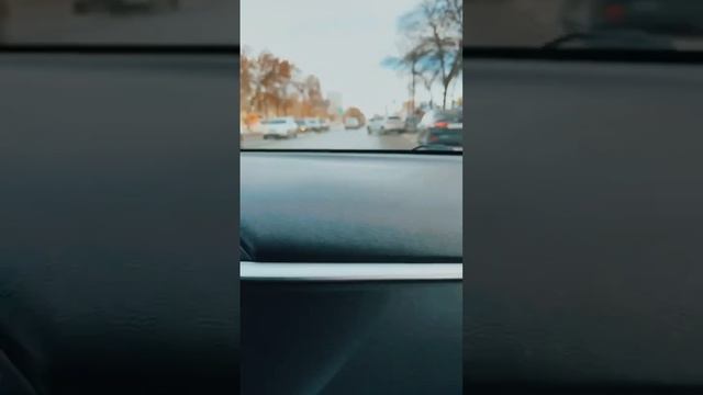 🚦День автоинструктора, какой он ?