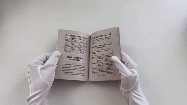 Французский язык. Все правила в схемах и таблицах. Краткий справочник смотреть онлайн