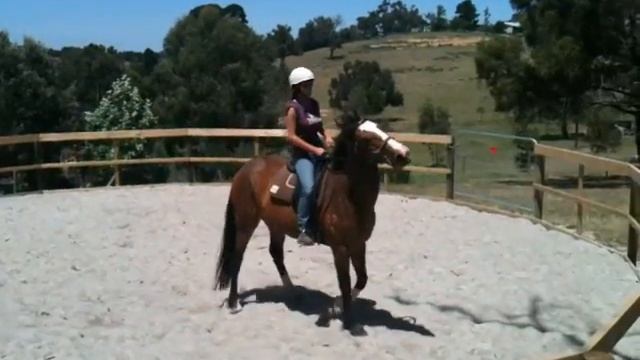 diva breckers 2nd ride смотреть онлайн