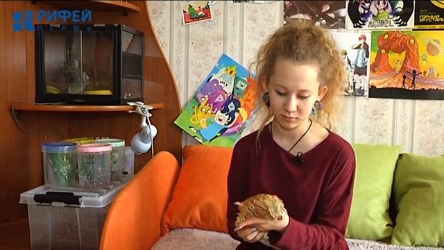 Живой уголок. Агама смотреть онлайн