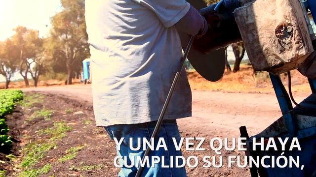 Irritec Green Fields - Reciclar cinta trae grandes beneficios. Por un campo verde смотреть онлайн