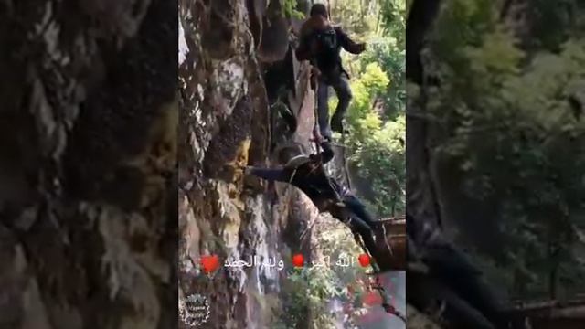 Маша Аллах мёд в горах смотреть онлайн