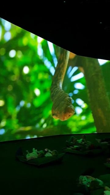 Опыт Земли — BBC Earth Experience смотреть онлайн