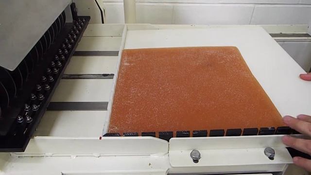 Jelly Trial on Tandem Cutter for Belgium смотреть онлайн