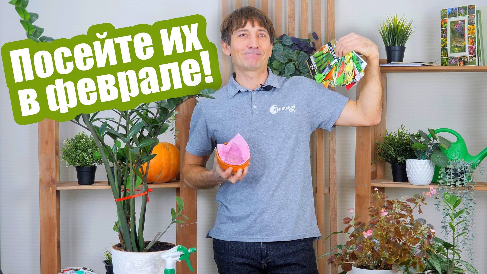 Февральские посевы! Цветы и овощи которые ПОРА сеять на рассаду! смотреть онлайн