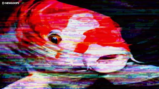 Lo-fi Trap Kit Sample Pack (lofi trap samples) смотреть онлайн